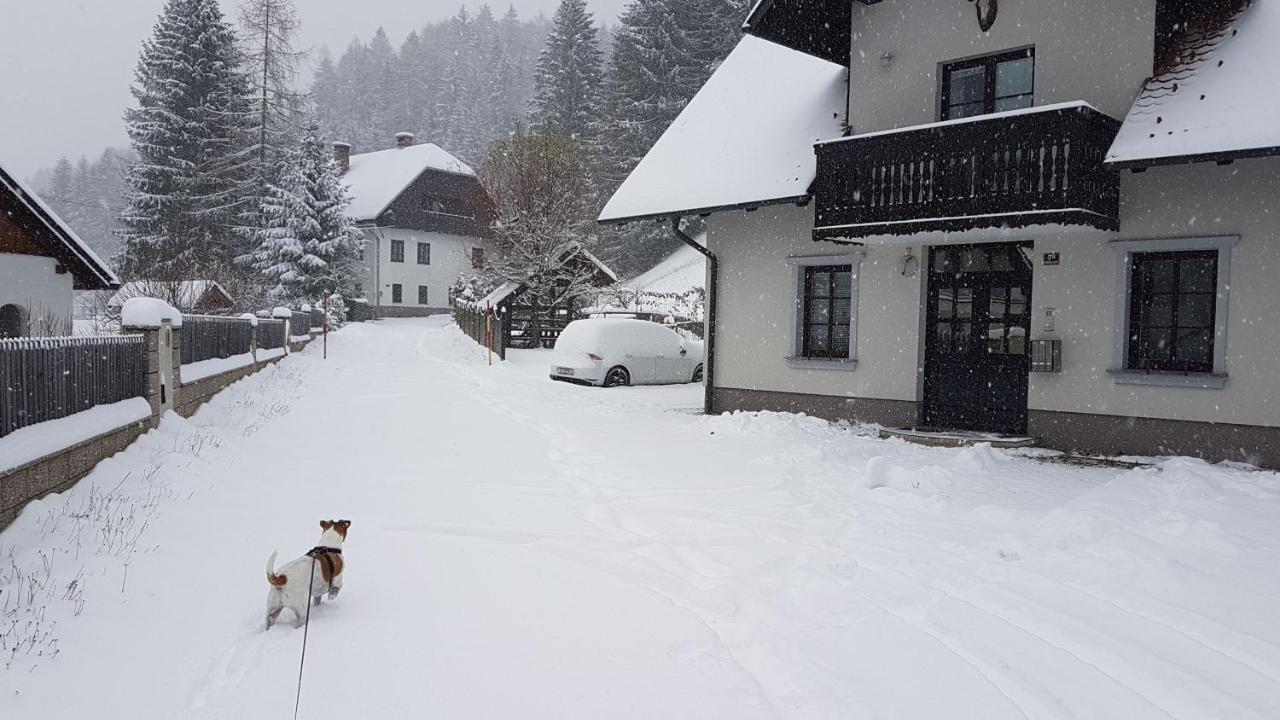 Apartman Irvin クランスカゴーラ エクステリア 写真