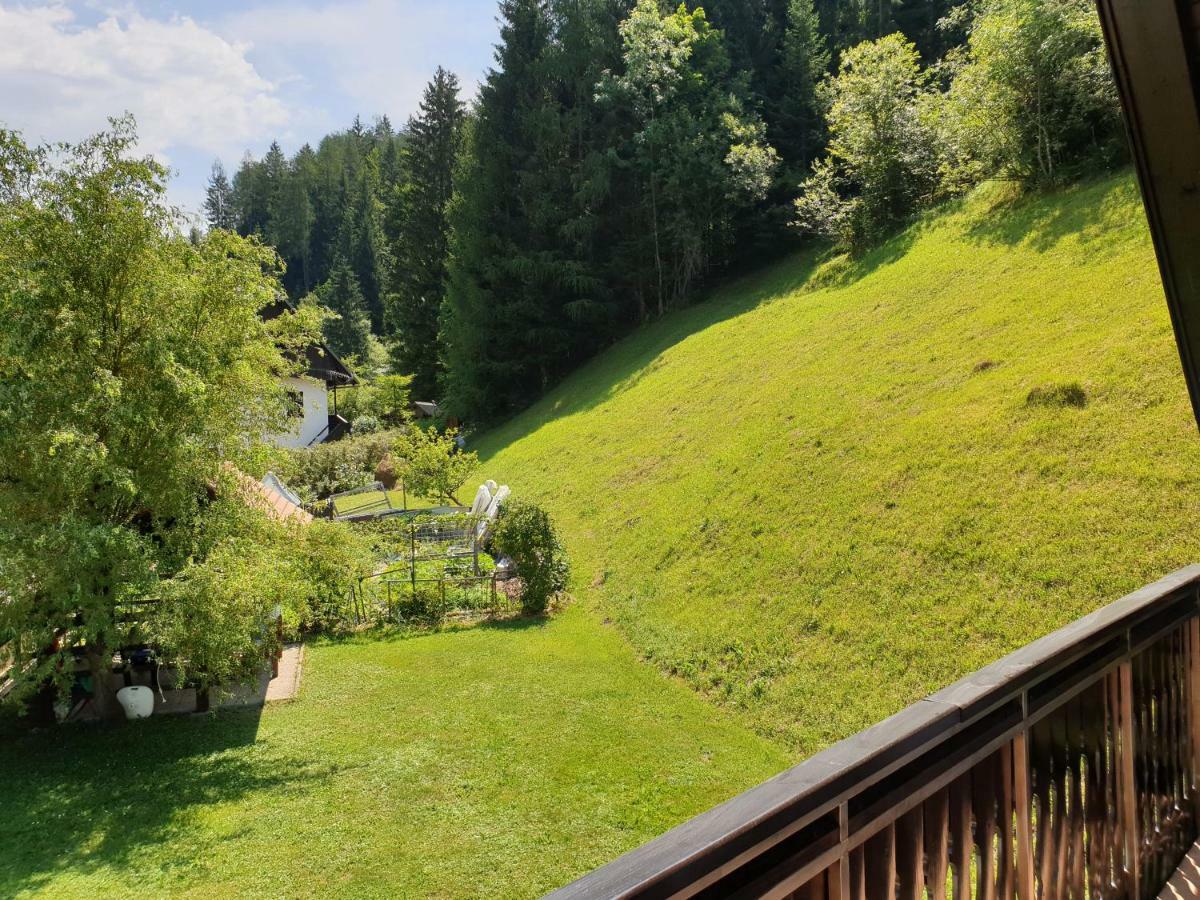 Apartman Irvin クランスカゴーラ エクステリア 写真