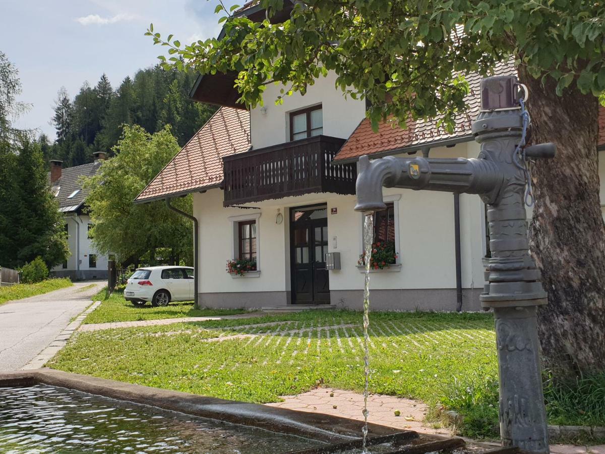 Apartman Irvin クランスカゴーラ エクステリア 写真